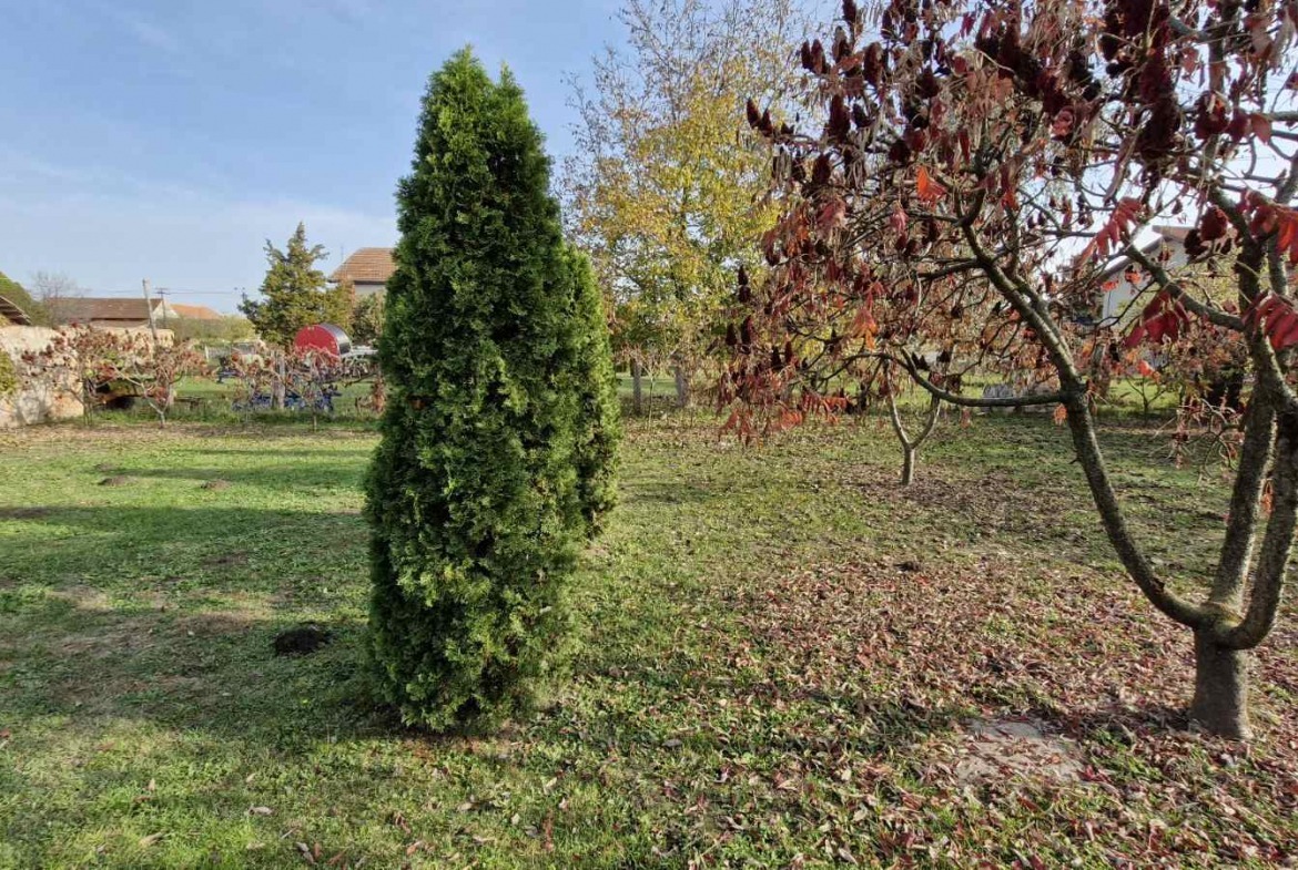 1170