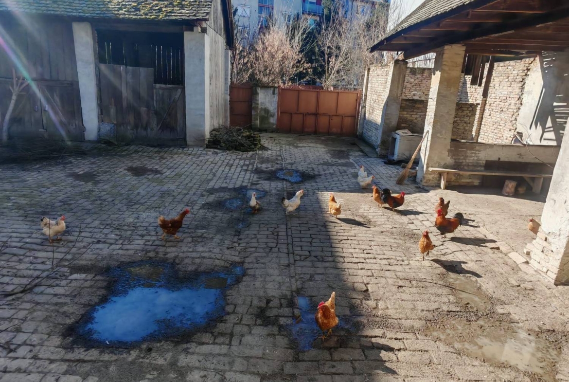 1170